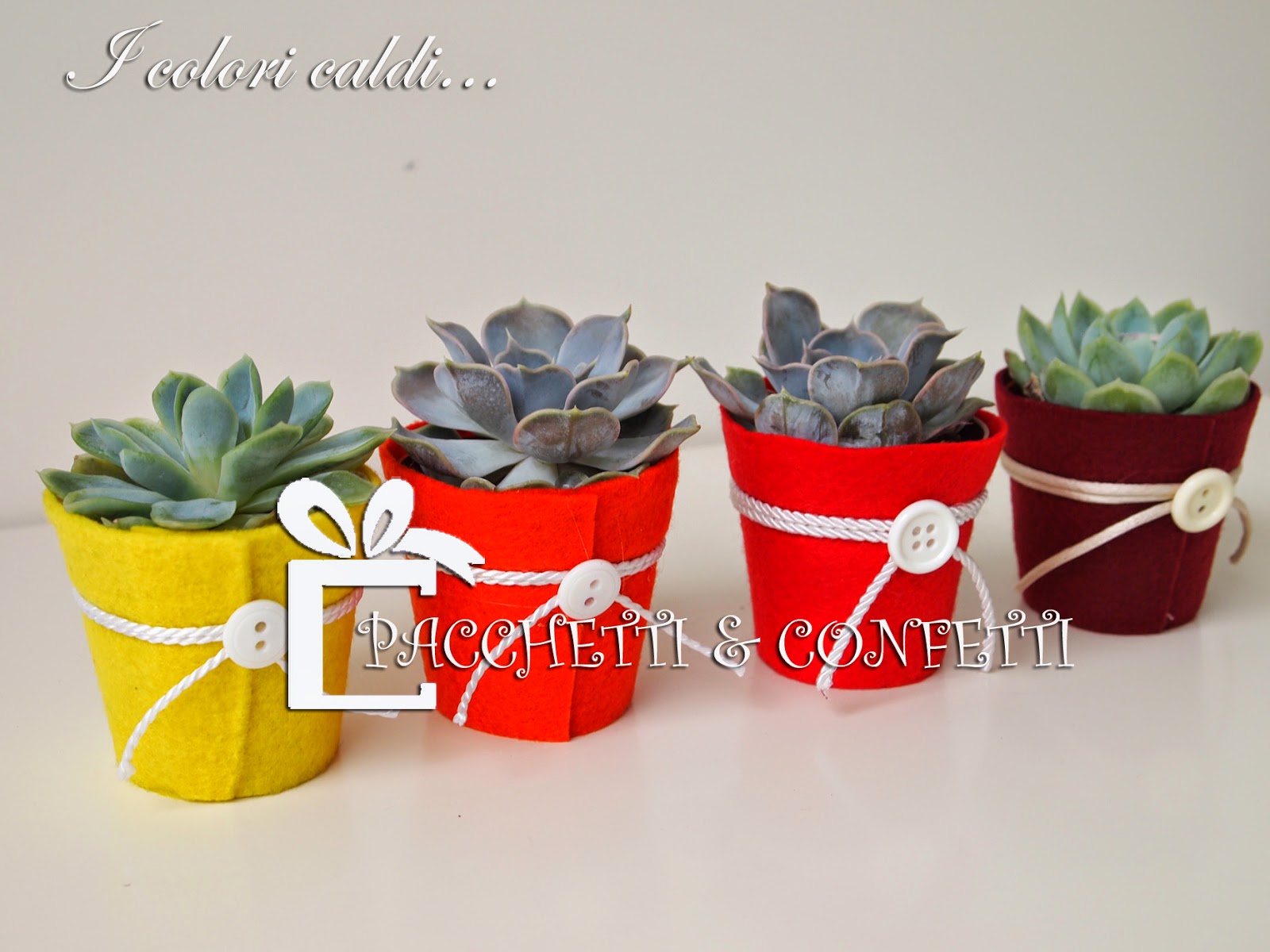Bomboniera con Piante Grasse Succulente e Mini Cactus in Vasetto di  Ceramica Bianco con Nomi e Data