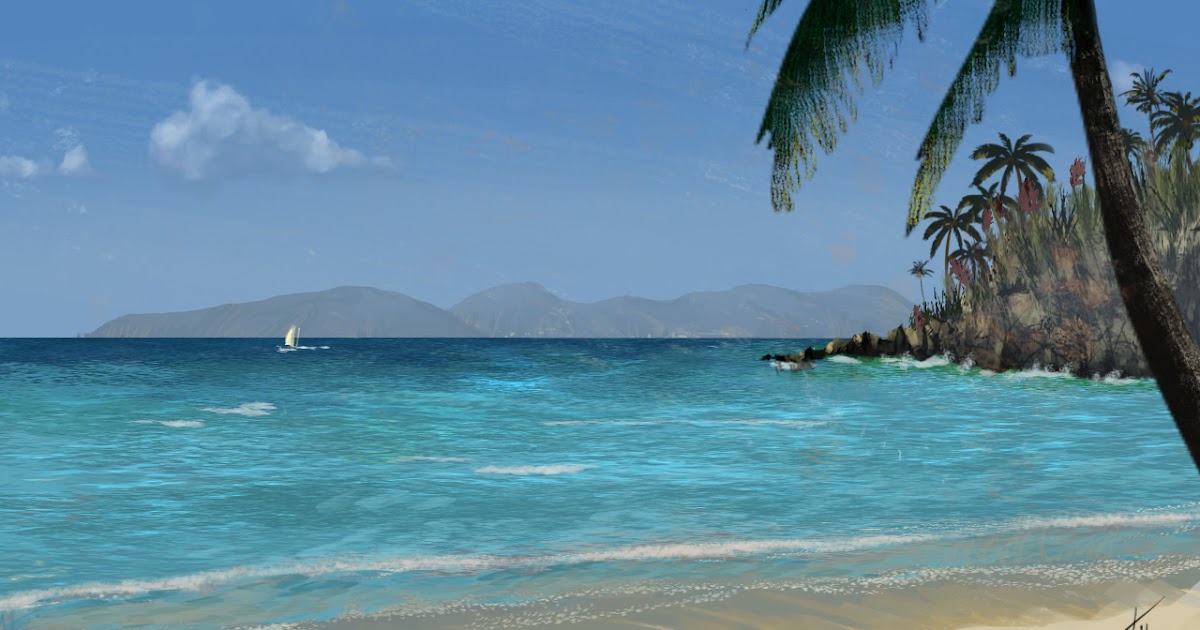 Travis Dixon Trunk Bay, St.John USVI