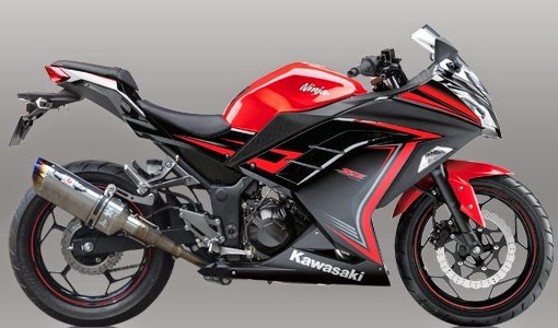 Kawasaki Ninja 250 BEET Kawasaki Ninja 250 BEET