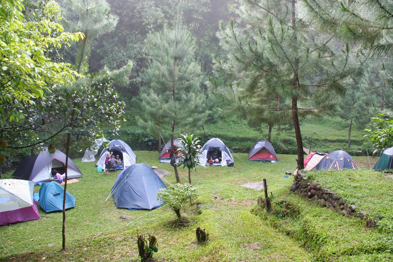 Wisata Citamiang Tempat Camping Di Bogor