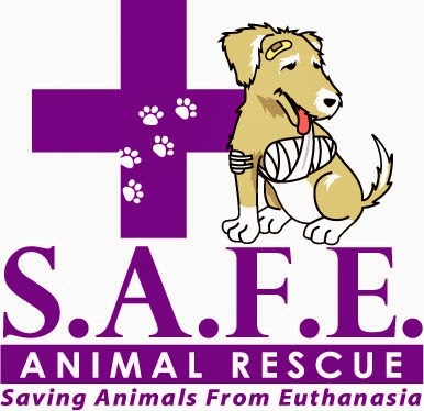 SAFE Rescue