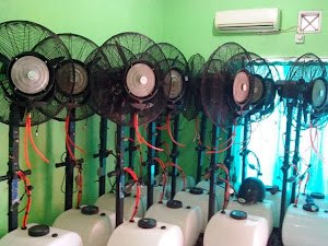 Cooling Fan / Misty Cool