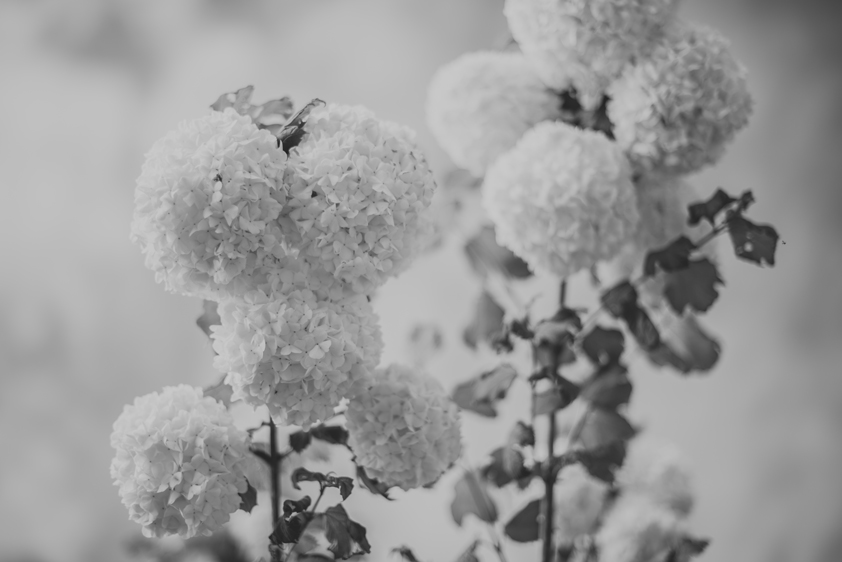 ©estermiriamfotografia