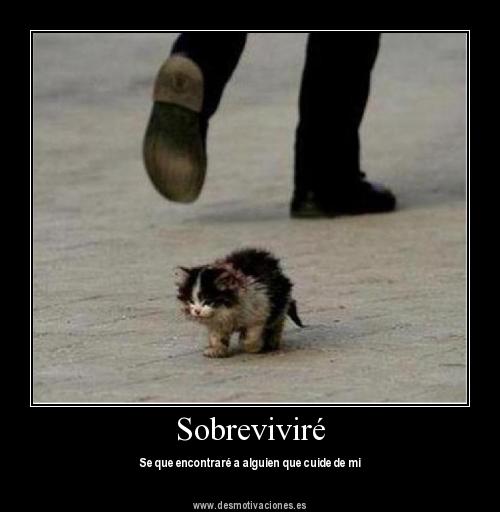 Imagenes Graciosas Tristes | desmotivaciones graciosas ver desmotivaciones tristes con Imagenes Graciosas Tristes | desmotivaciones graciosas ver desmotivaciones tristes con