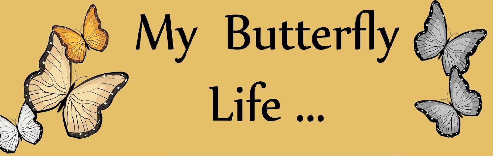 My Butterfly Life