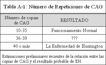 Genética y Biología Molecular : Trinucleótidos de repetición. Genética y Biología Molecular : Trinucleótidos de repetición.
