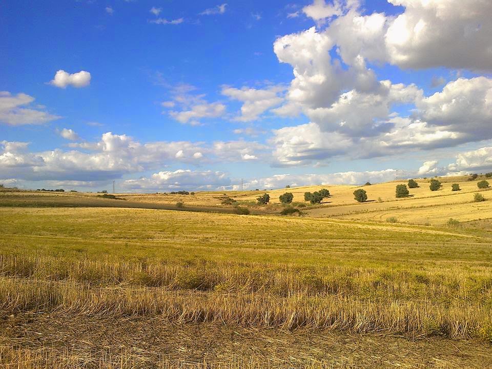 VIVIR EN MÓSTOLES 1377230_698635440166449_1320368205_n.jpg