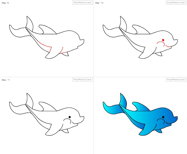 How to draw Dolphin - slide 2