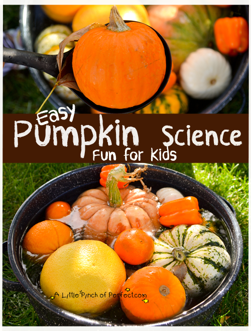 pumpkin science activity
