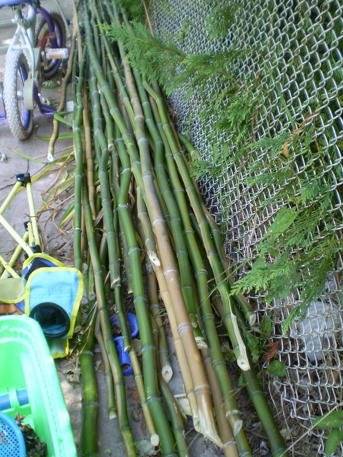 Green Jean bamboo mulch