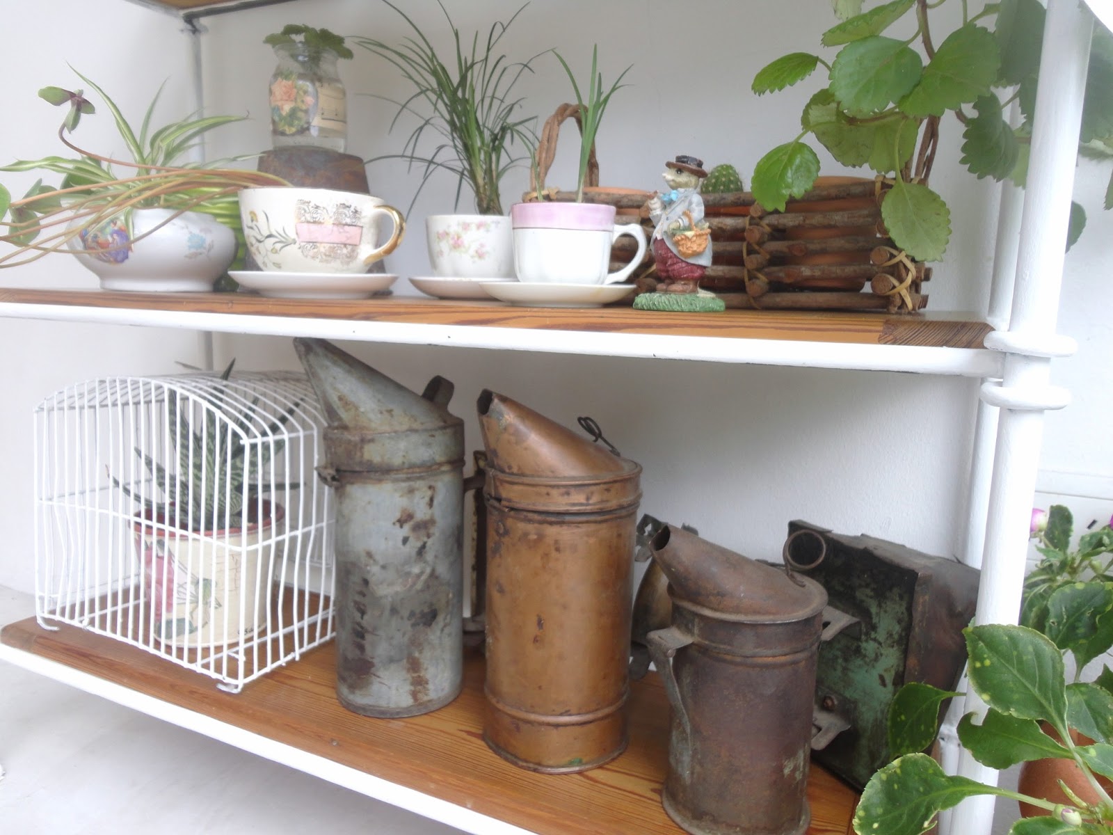 Tazas & Cuentos: Al jardín!....... To the garden!