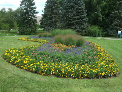 Mass of yellow and blue annuals James Garden kidney shaped bed by garden muses: a Toronto gardening blog