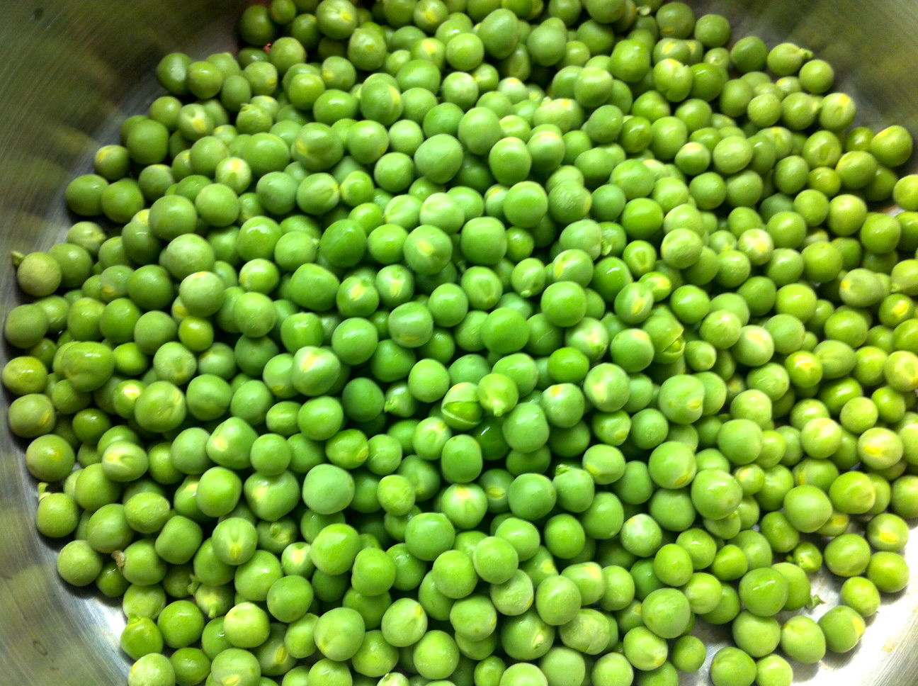 lemon chicken with capers served over a {delicious} pea puree with oven