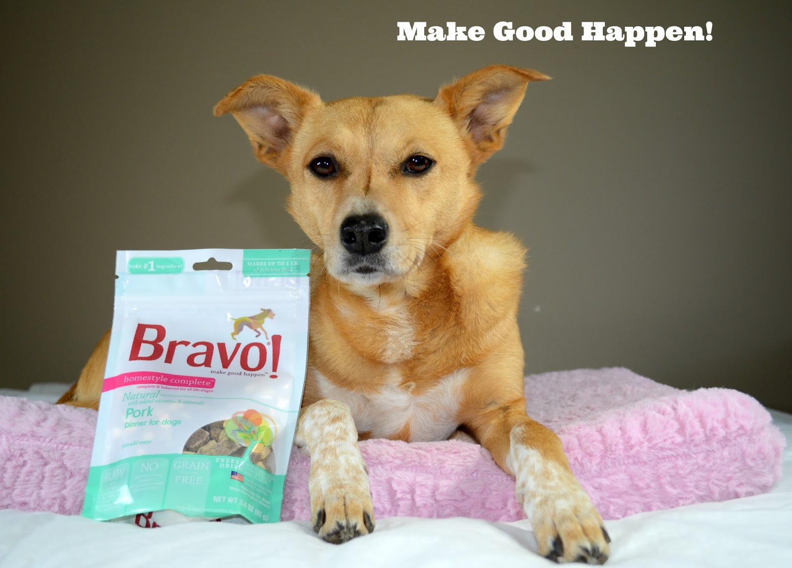 ZoePhee Bravo! Freeze Dried Raw Dog Food Review