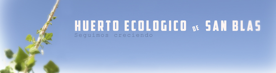 Huerto Ecológico San Blas