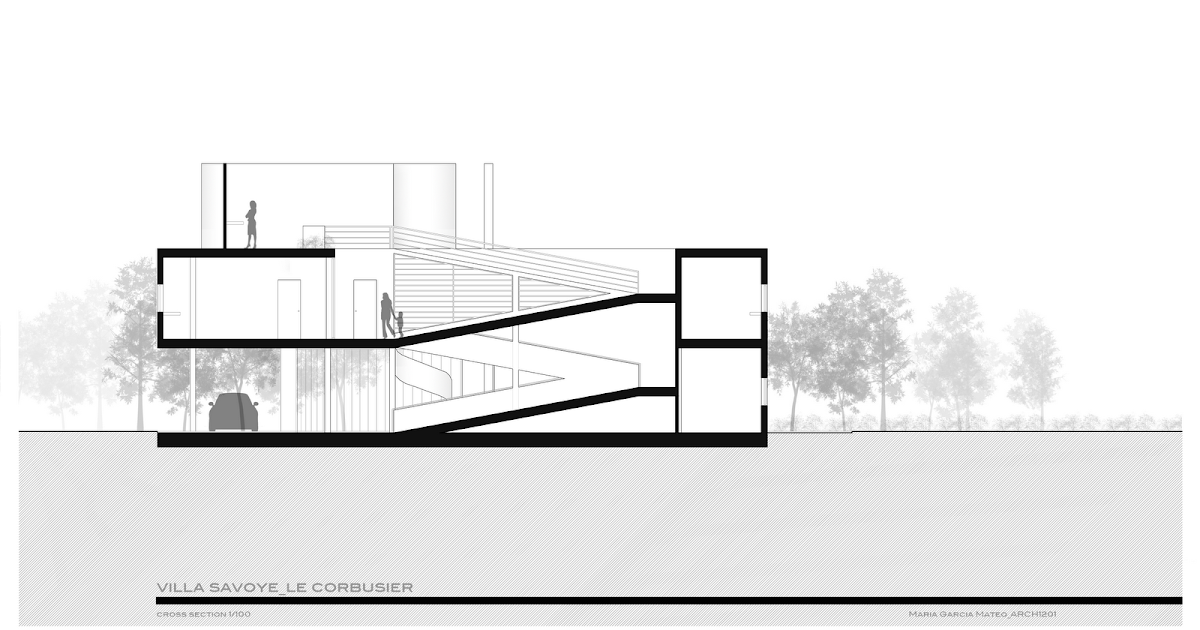 arch1201: THE SECTION