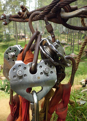 ともだち(tomodachi): Flying Fox