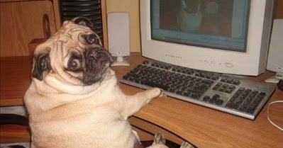 Feminism & Masculism, Stole Mojo Jojo