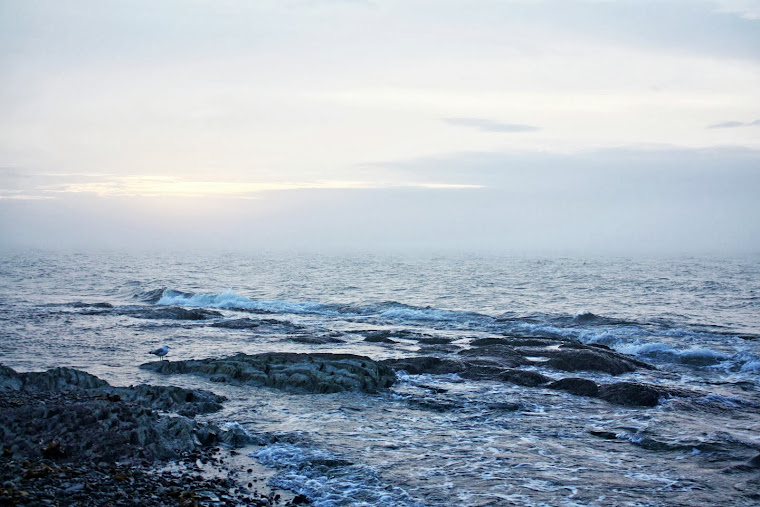 MÉTIS-SUR-MER