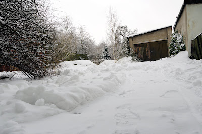 Frühlingsanfang 2013 mit viel Schnee in unserem Hinterhof