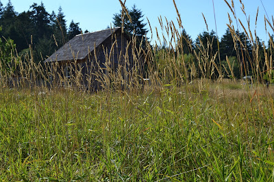 Hornby Island