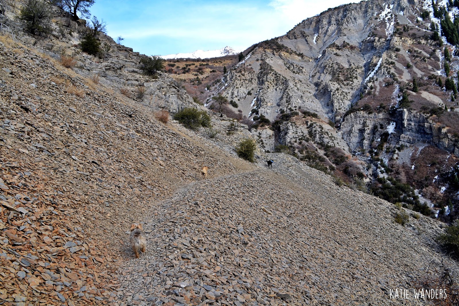 Katie Wanders Grove Creek Canyon Pleasant Grove, Utah