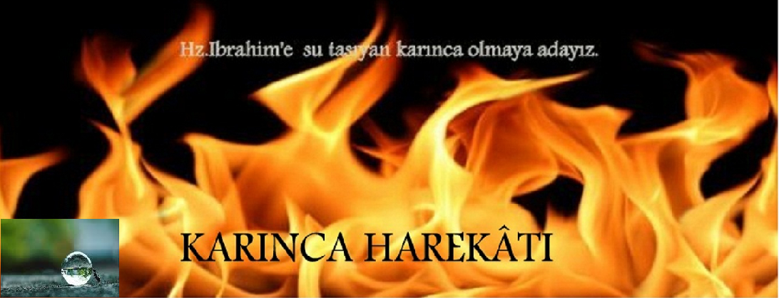 Karınca Harekâtı...