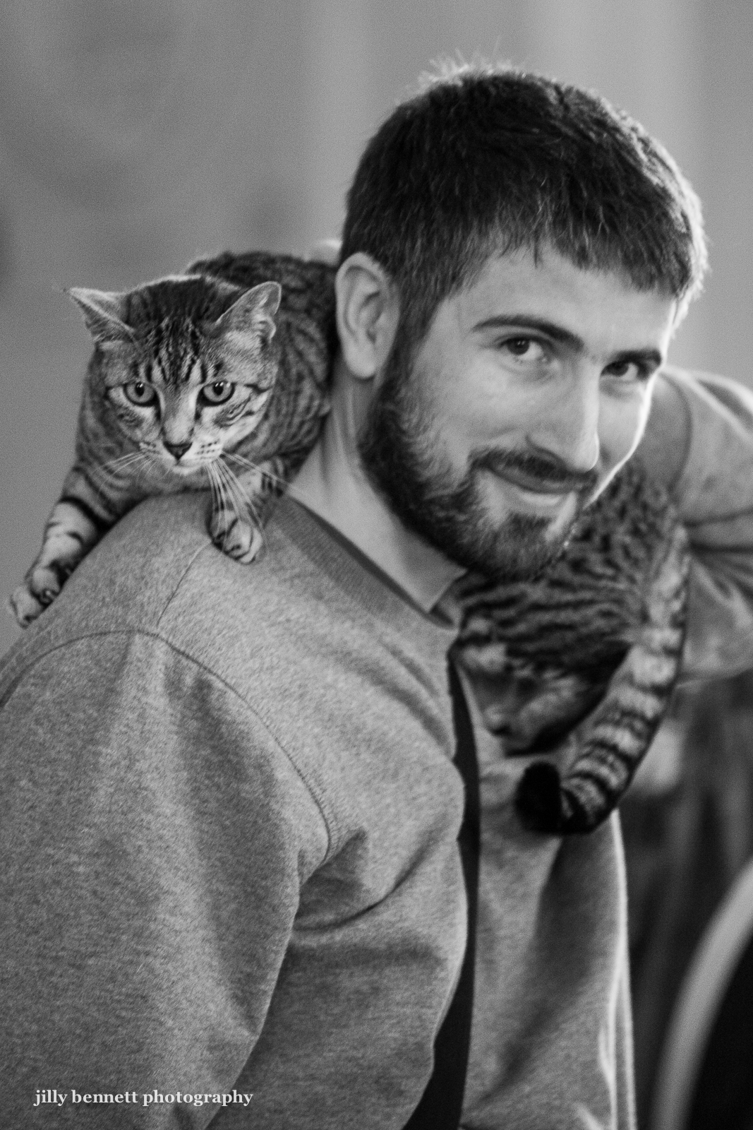 Menton Daily Photo Menton's Cat Show the Egyptian Mau