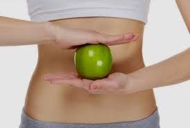 manfaat buah apel dalam diet manfaat buah apel