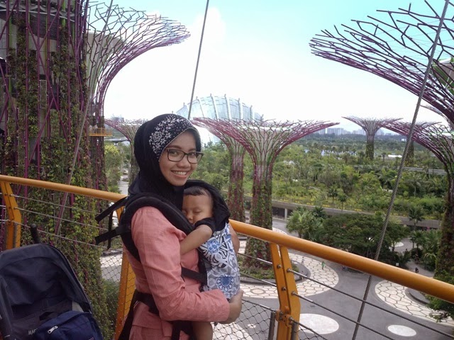 gardens by the bay