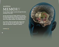 Le réseau de la mémoire