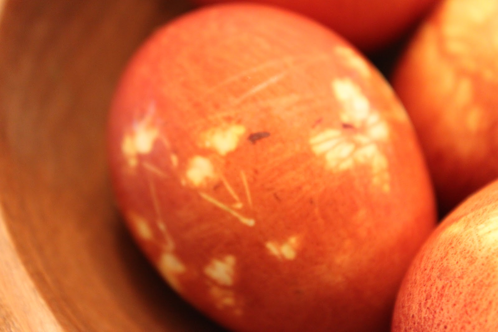 Sugarplum Land Easter Eggs made with Onion Skin Dye & Flowers