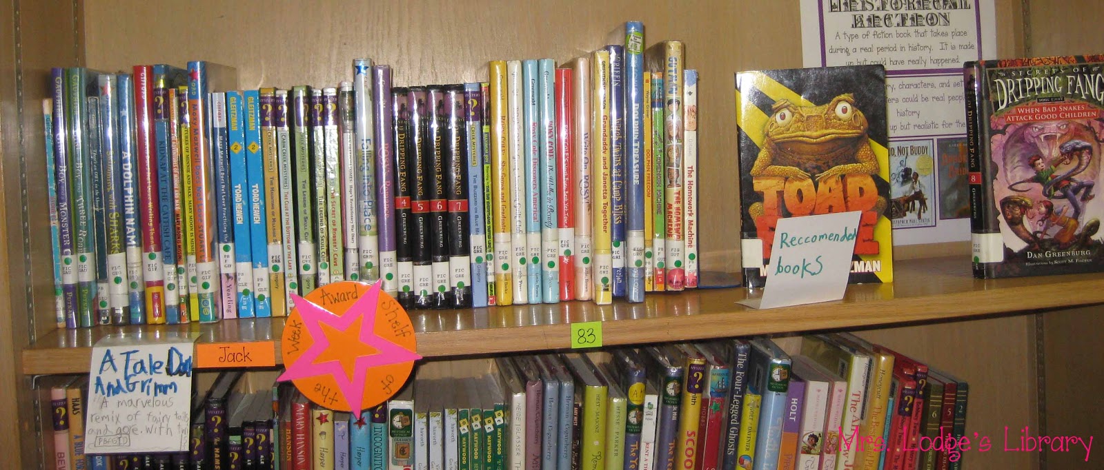 Adopt a Shelf Mrs Lodge's Library