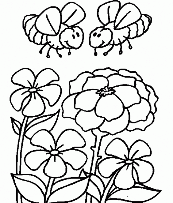 Dibujos para colorear. Maestra de Infantil y Primaria.: Flores para