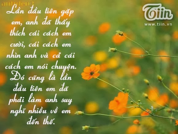 Những lời tỏ tình hay, lãng mạn, dễ thương đáng yêu nhất, hinh anh tinh yeu