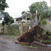 Temporal derruba 100 árvores e 47 postes em Maringá