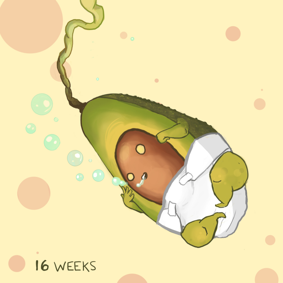 avocadobaby.jpg