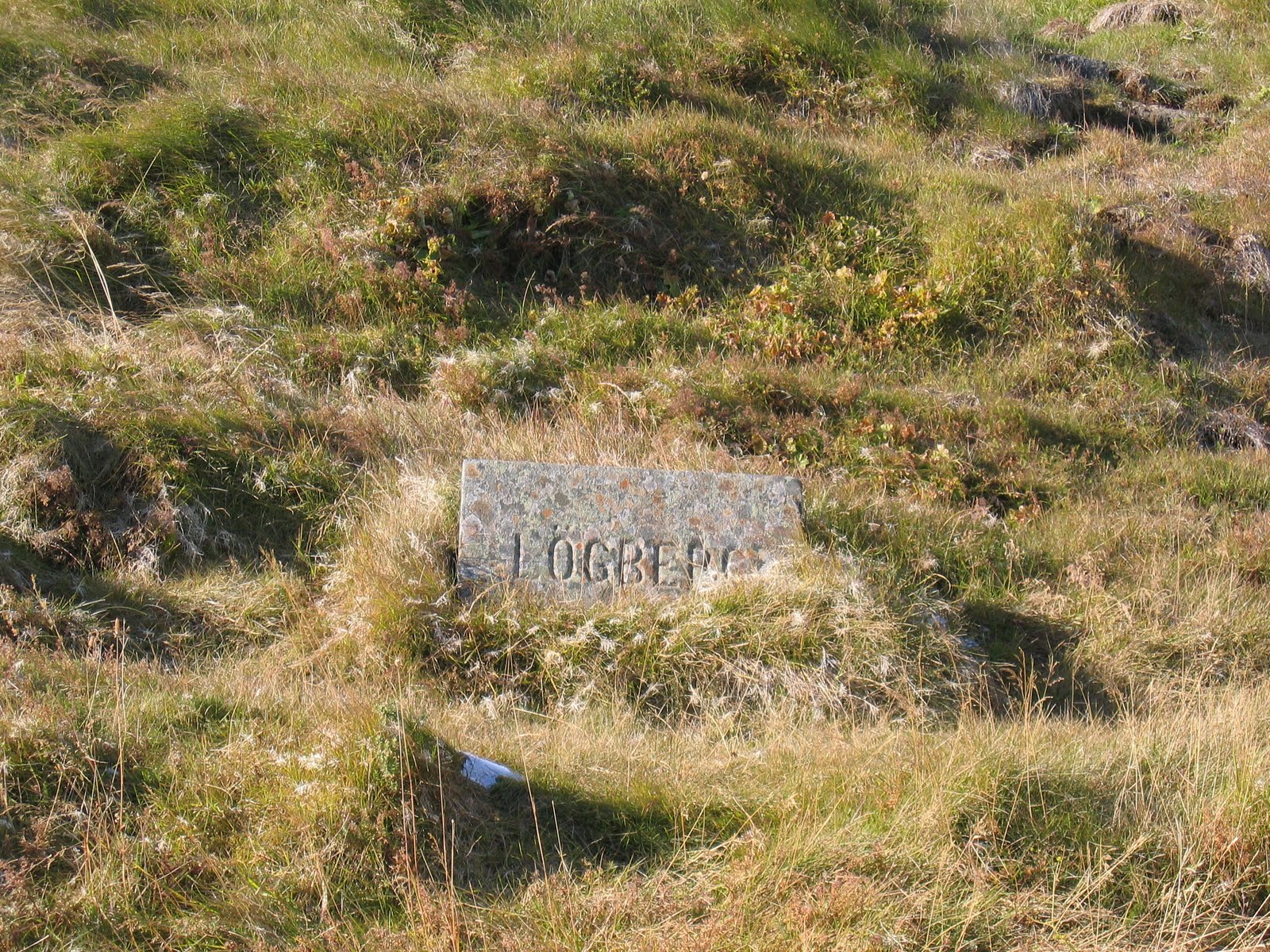 Tree Peeps March 2011