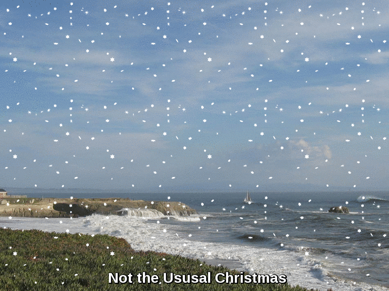 Fun Tour Guru Goes Off the Beaten Path Does it Snow in Santa Cruz