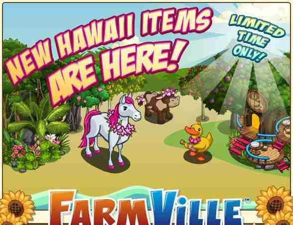Hawaii Items