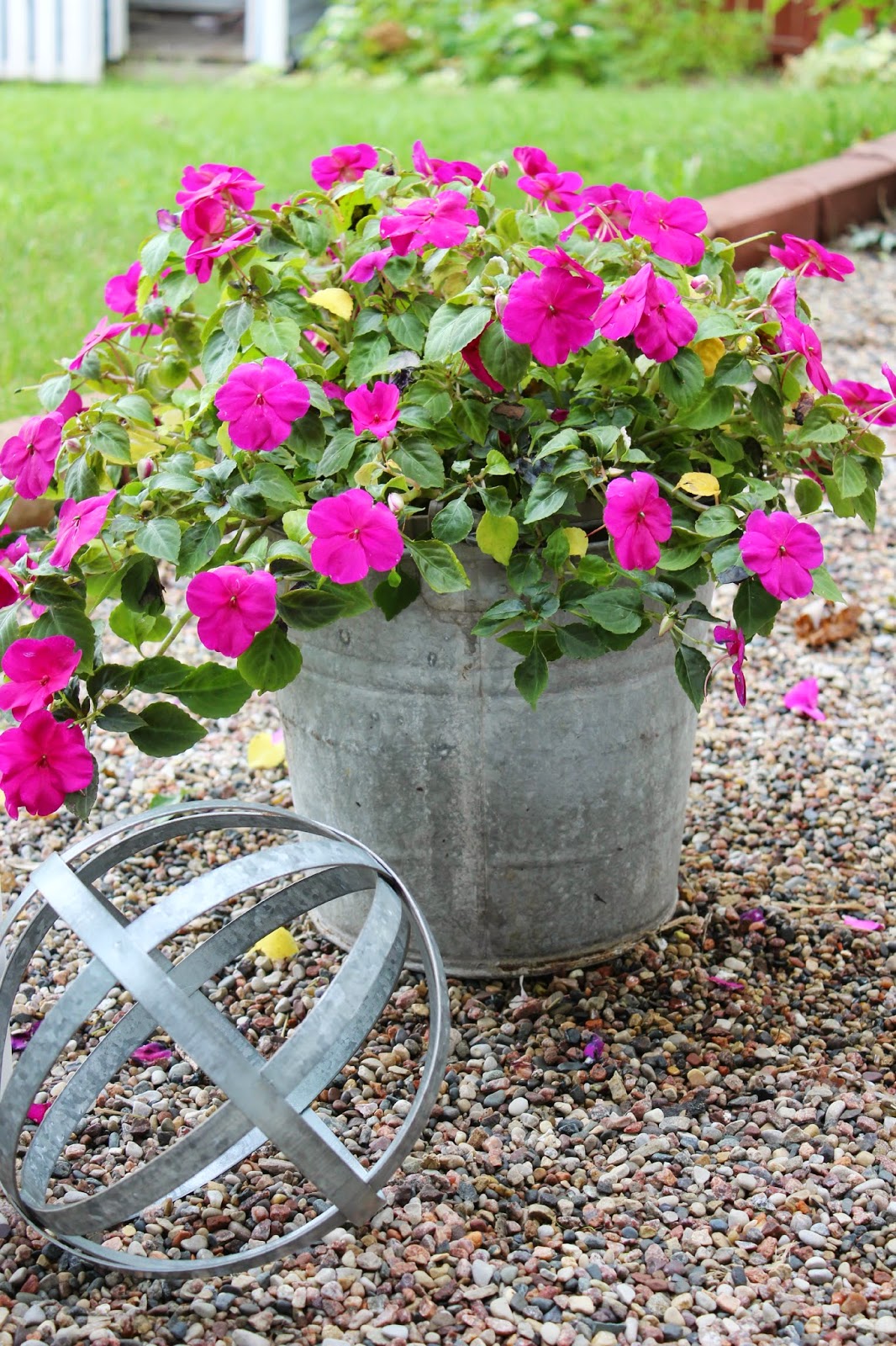 Happy At Home Container Gardening In Galvanized Buckets