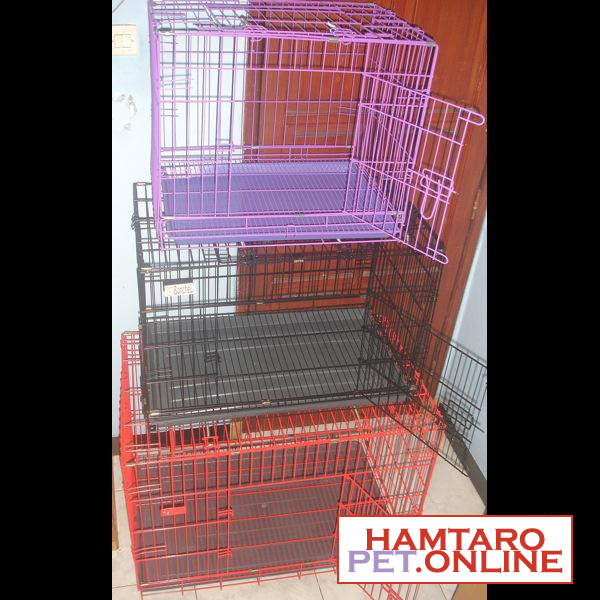 Hamster Dan Kucing Persia Murah Surabaya DIJUAL KANDANG