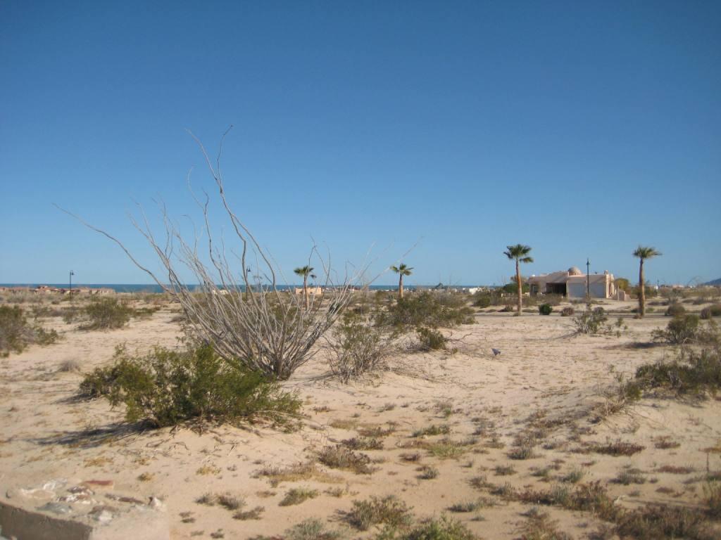 San Felipe, Baja California, Mexico Real Estate Updates and News La