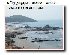 VAGATOR BEACH GOA