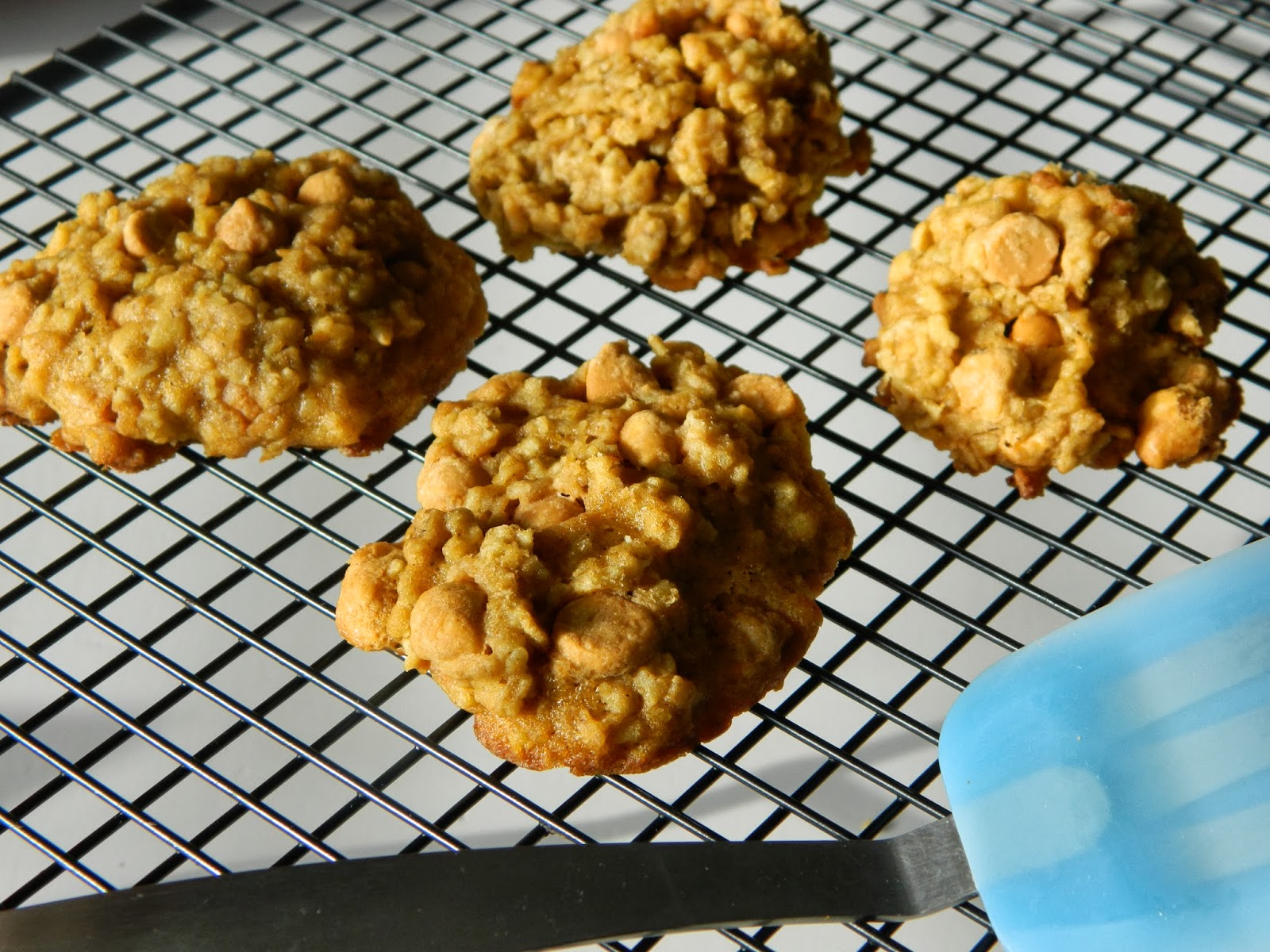 Out of the Right Brain Pumpkin Butterscotch Cookies {a dare}
