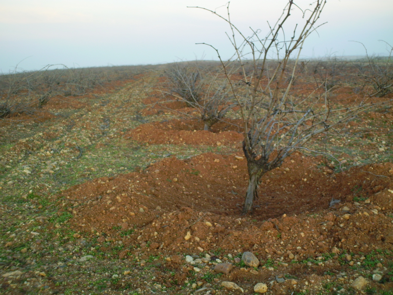 Microbodega Del Alumbro: enero 2012