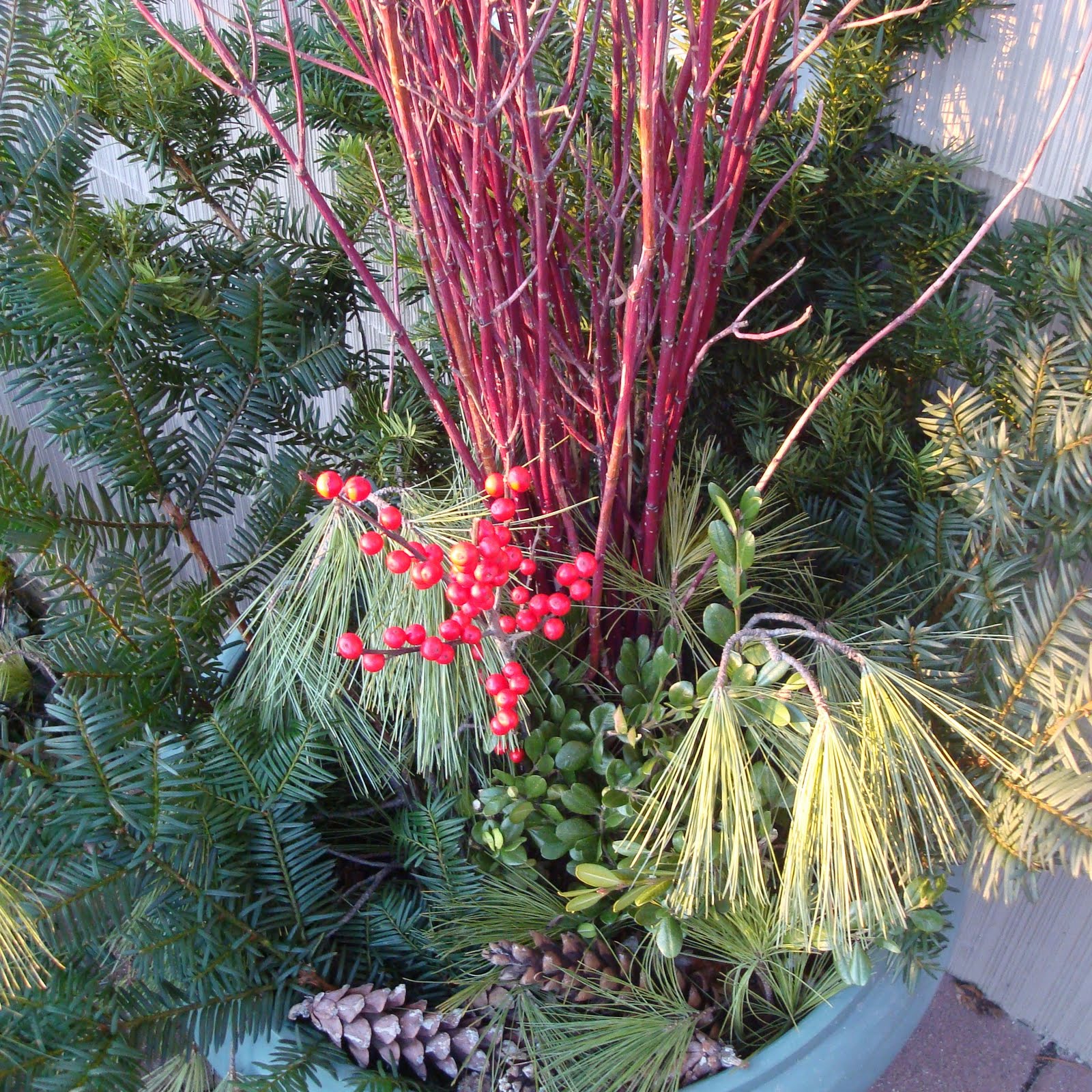 Becoming: December 2011