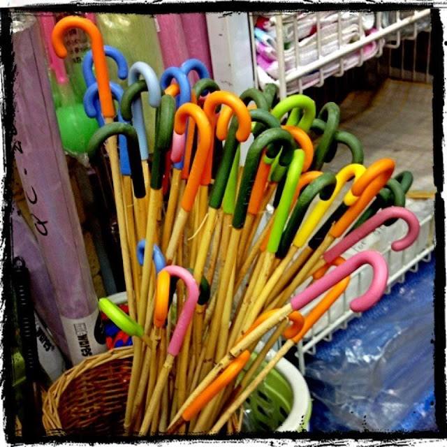 Colorful Candy Canes We are the DinoFamily 我們是恐龍家族 Singapore