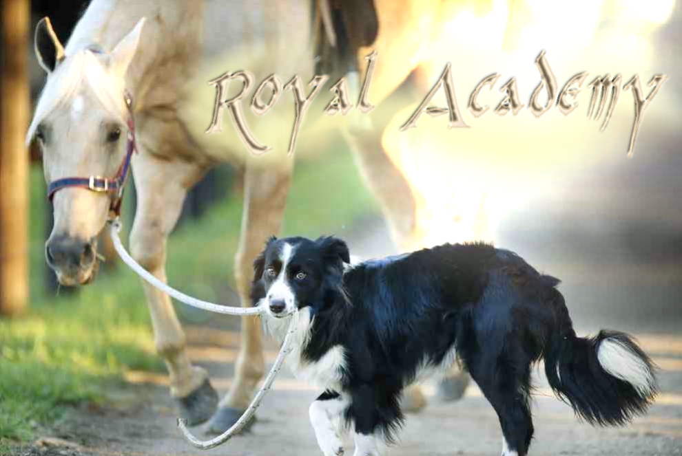     Royal Academy