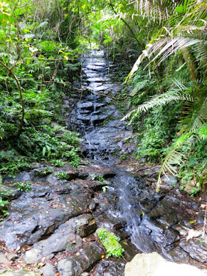 Trail path of waterfall in Yilan 